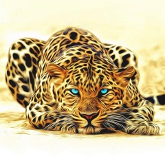 Wild Cat, 01.01.2000