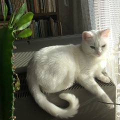 Нина Николаева, 15.03.1981, Мурманск