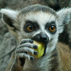 София Πанкратова, 14.02.1990