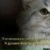 Qwerty Qwerty, 01.05, Саратов