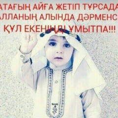 Temirlan Sarsenbaev
