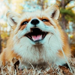 Тая Хорошая, 14.04.1992, Москва