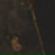 Евгений Жит, 04.03.1996, Кишинев
