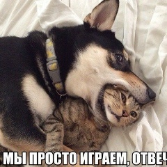 Еля Салюмбек