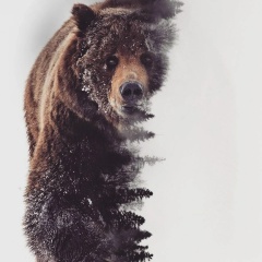 Андрей Авдеев, Пычанки