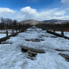 Александр Сергеевич, Ростов-на-Дону