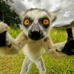 Адель Нигметзянов, 15.07.1988, Казань