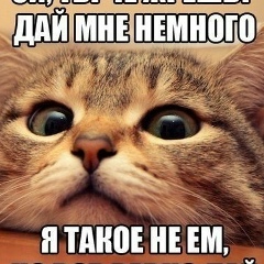 Сергей Бехало, 25.04, Кропивницкий / Кировоград