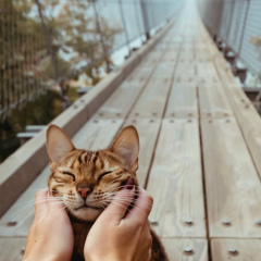 Алёна Алёновна, 19.07, Москва