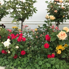 Алсу Хуснутдинова, 23.03, Санкт-Петербург