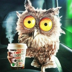 Дмитрий Васильев, 25.12, Чита