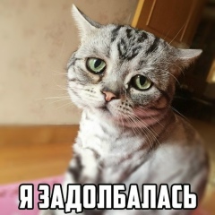 Екатерина Без Фамилии, Дмитров