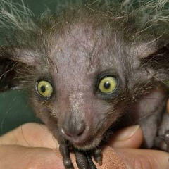 Пётр Сафронов, 17.04.1985, Томск