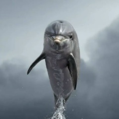 Андрей Захаров, 04.07, Калининград