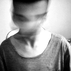 Phelps Schneider, 18.01.1995, Berlin