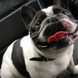 Виктория Королева, 11.04.1979, Санкт-Петербург