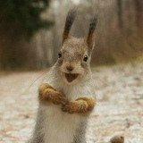 Олег Гришко, 05.04.1981, Старощербиновская