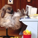 Юлия Tari, 16.03, Москва