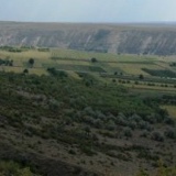 Ольга Ольга, Кишинев