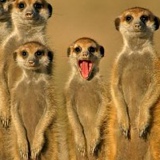 Саша Валантис, Кропивницкий / Кировоград