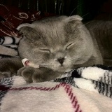 Денис Пикуля, 18.01.1984, Киев