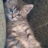 Евгения Олейник, 09.03.1985, Днепр (Днепропетровск)