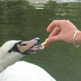 Константин Славинский, 10.10.1984, Тирасполь