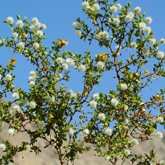Леонид Жиц, 03.09.1988, Санкт-Петербург