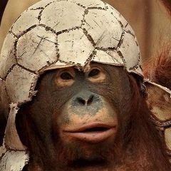 Никита Волков, 25.06, Санкт-Петербург