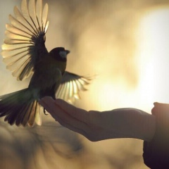 Маргарита Дьякова, 25.05.1983, Новосибирск