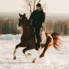 Евгений Терещенко, Казань