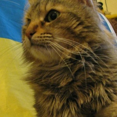 Sts Nec, 03.08, Харьков