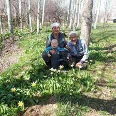 Мейржан Даулетбаев, 01.11.1983, Шымкент