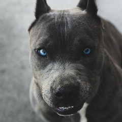 Илья Трофимов, 17.01, Москва