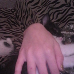 Линда Хасанова, 01.07, Грозный