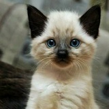 София Жук, 28.02.1998, Киев