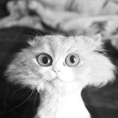 Татьяна Наумова, 18.04, Москва