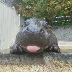 Сергей Колисниченко, 16.04.1988, Киев