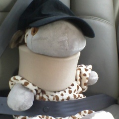 Александр Александрович, 15.10.1986, Люберцы