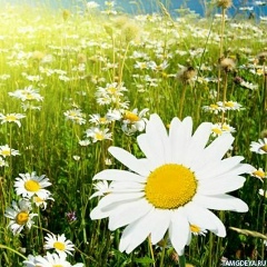 Зумрина Эминова, 26.12.1964, Ставрополь