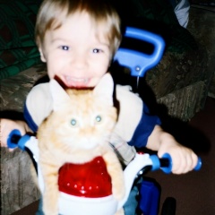 Роман Гуйван, 24.08, Кант