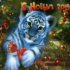 Григорий Галлямов, 20.01, Набережные Челны