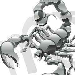 Алексей Иванов, 30.11, Ржев