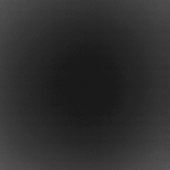 Инна Попова