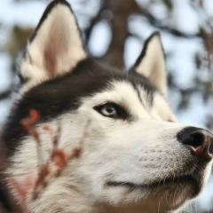 Виктория Земцева, 10.05, Санкт-Петербург
