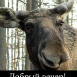 Юрий Суковатиков, 14.03.1976, Санкт-Петербург