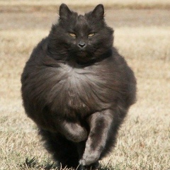 Ришат Мансуров, 12.03