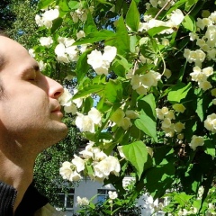 Алексей Пашков, 02.06.1986, Москва