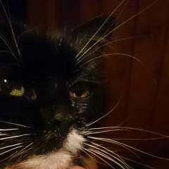 Галина Малина, 14.05, Москва