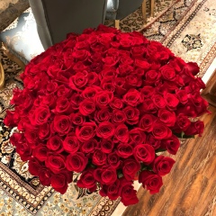 Dinora Shamahsutova, 15.05.1993, Тараз